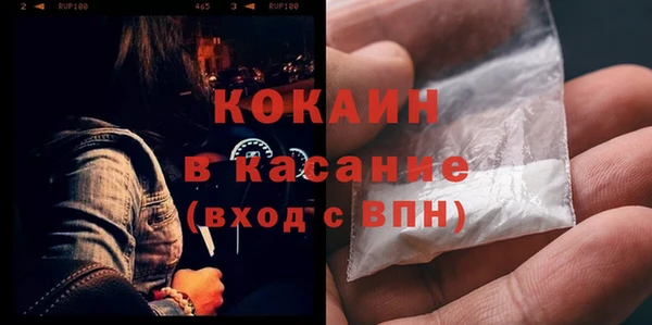 стафф Михайловск