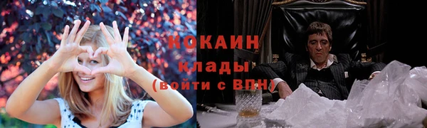стафф Михайловск