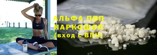 стафф Михайловск