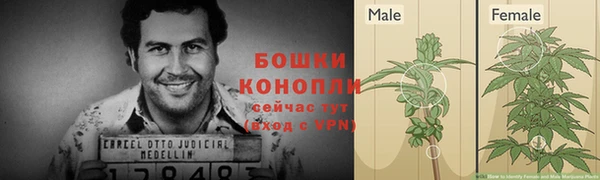 твердый Медногорск