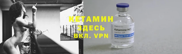стафф Михайловск