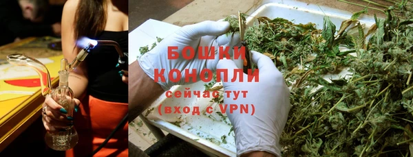 стафф Михайловск